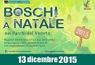 Boschi a Natale Veneto